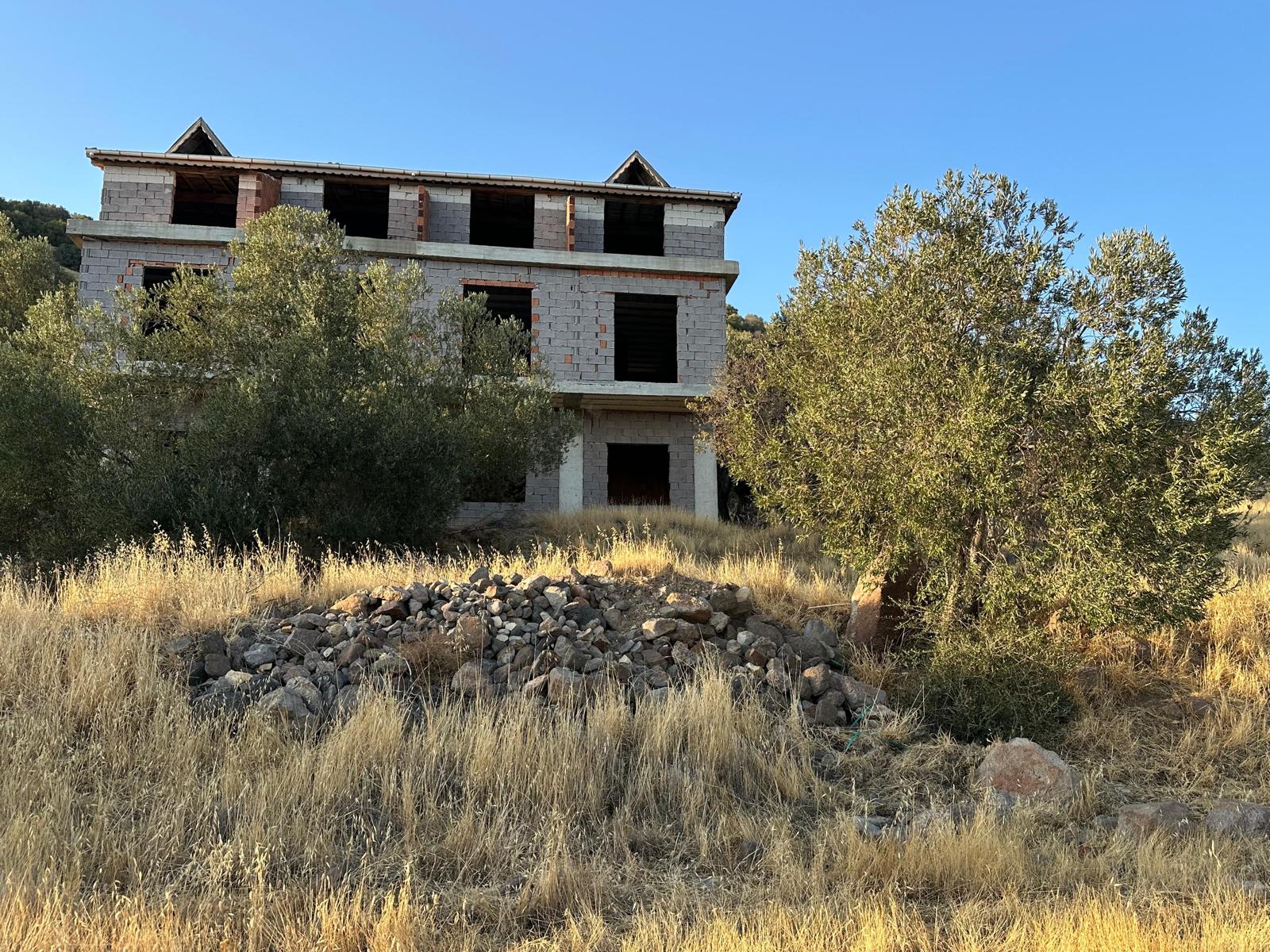 ÇANAKKALE AYVACIK BABAKALE ZEYTİNLİK 35 MİLYON