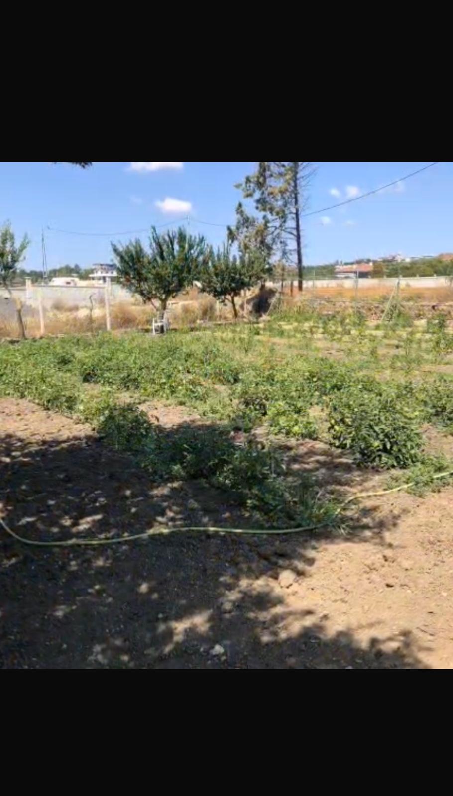 SİLİVRİ ORTAKÖY DOĞANTEPE SATILIK KAT MÜLKİYETLİ 140M