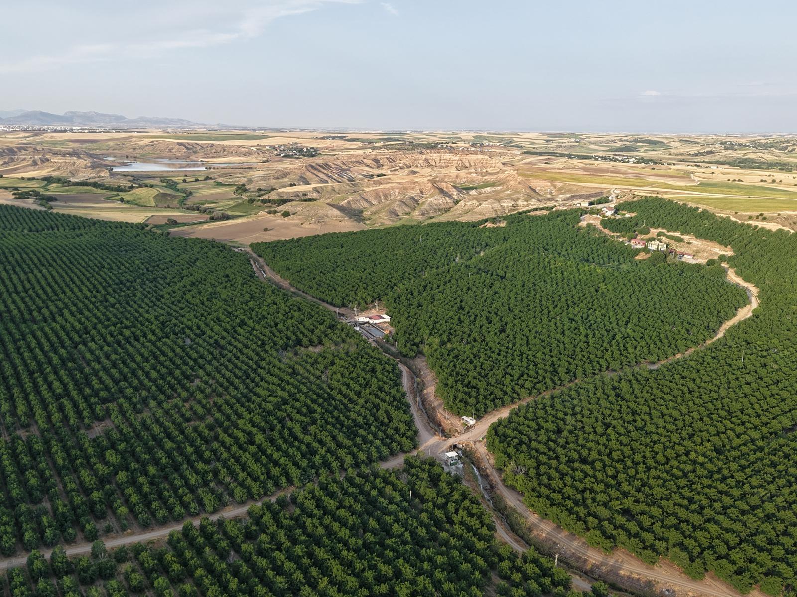 ADIYAMAN/KAHTA/ORTANCA KÖYÜ KUBİLAY MEZRASINDA BULUNAN SATILIK BAHÇE 22 milyon ABD dolar